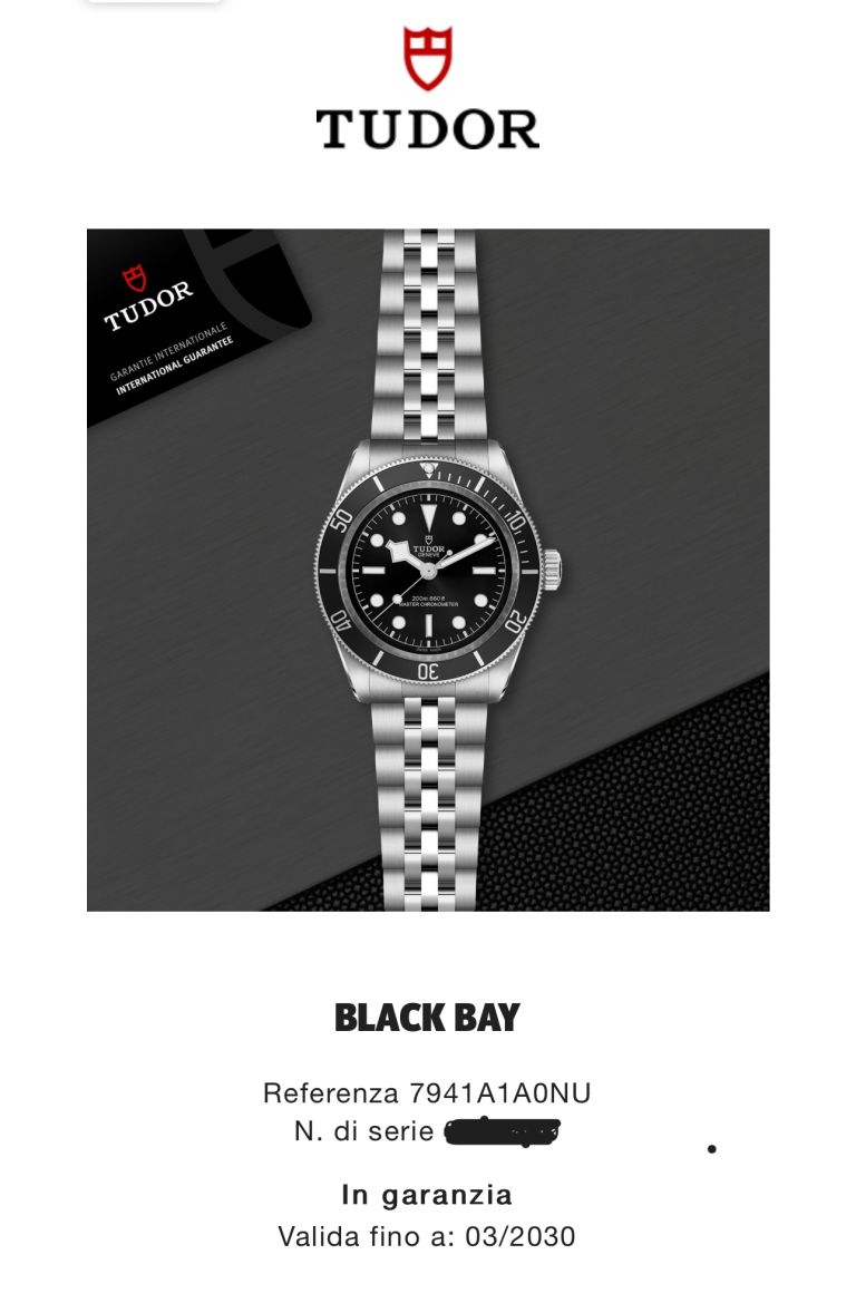 Tudor black bay bb41 monochrome 7941A1A0NU